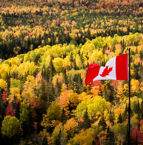 6 façons de retomber en enfance cet automne dans la région Chaleur