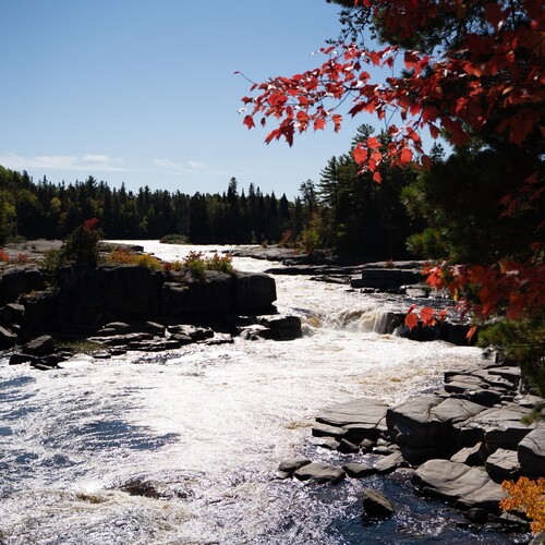 Top 8 Picks for Fall Eats & Treats in the Chaleur Region